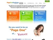 Why Do You Need A SEO Expert Like pageonerankings.com.au?
