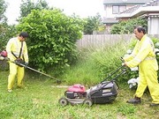 LAWN MOWING BRIGHTON, CAULFIELD, ELWOOD, ELSTERWICK, CAULFIELD: 0478156828