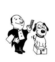 James Mobile Pet grooming and Hydrobath,  dog walking and pet sitting