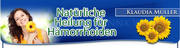 Hämorrhoiden Behandlung
