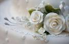 *Weddings*Business Functions*Special Occasions @ Chilli Waters Margys 