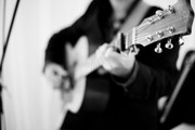 Sydney Wedding Guitarist