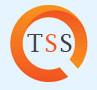 SAP FICO @ Texan Software Solutions
