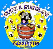Sudz & Bubbles  Mobile Hydro Wash for dogs