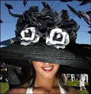 Pre Melbourne Cup Lunch Cruise Sydney