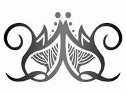 Laxmi Software Technology
