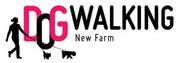 Dog Walking/Running/Sitting Service New Farm