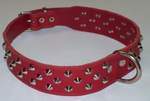 Durable Dog Collars
