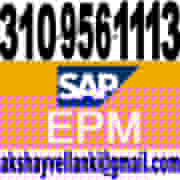 SAP BPC Training SAP BPC TRAINING SAP BPC Online Training SAP BPC nw