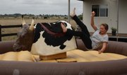 Davo, s party hire, Machanical bull, jumping castles