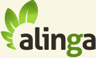 Brisbane Web Design