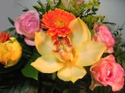 Flowers Online Melbourne in Brunswick!