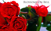 Flower Delivery in Melbourne Australia!