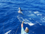 Enjoy a great night life after your Fishing Trip