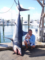 Great Offer enjoy Sightseeing Cruise in Fort Lauderdale at Free of cos
