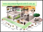 Get Reliable Residential Pest Control Solution for Your Home
