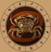 Free Psychic,  Tarot & Astrology Readings