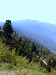 Adventures Trip at Latpanchar,  Darjeeling in the eve of Durga Puja 201