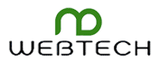 Professional SEO Services India
