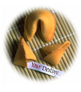 Find Out Your Astrology Destiny & Decision Report