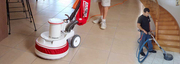 Cheap Carpet Cleaning|Steam Carpet Cleaning|Flood Damage Carpet