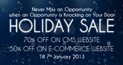 Special Offers On Website Design and Development Solutions