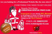 Bespoke Web Design Christmas Special Offer at $480