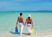 Great Barrier Reef Cruises