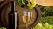 Get Ultimate Wine Storage Services Facility in Sydney