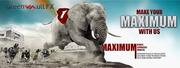 Online Forex Trading