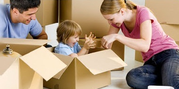 Giraffe Removals Perth
