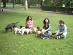 Love Your Pet provides Home Visit Service for pet owners