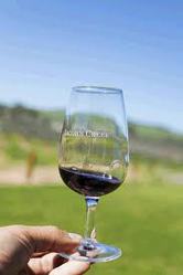 Adelaide Wine Tours