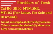 Providers of Fresh Cut BG,  SBLC and MTN