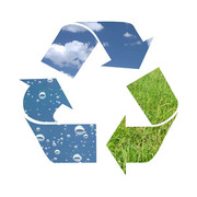 Find Best Environmental Consultants For Your Business