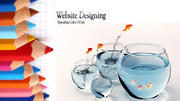 Magento development and Design Services NY