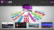 Professional website design
