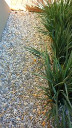 Landscaping and Gardening