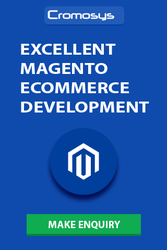 eCommerce Store Development Services By Cromosys