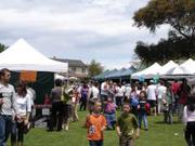 Durable yet affordable party marquee on hire in Melbourne