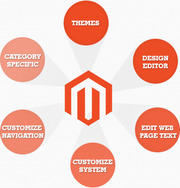 Magento Programmers