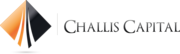 Development Finance Services
