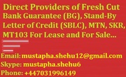 Providers of Fresh Cut BG,  SBLC and MTN