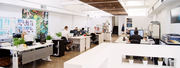 Digital Marketing Company in Melbourne - Digital Next
