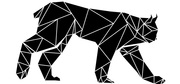Link Building Agency in Melbourne - White Lynx