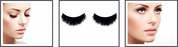 Sydney Eyelash Extensions Services