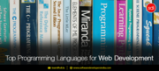 Hire Web Development team for your project