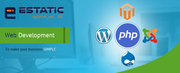 Web Development Company in Adelaide |Estatic Infotech