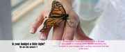 Budget Wedding Packages or Elopement Packages 