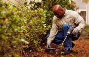 Termite Control Adelaide